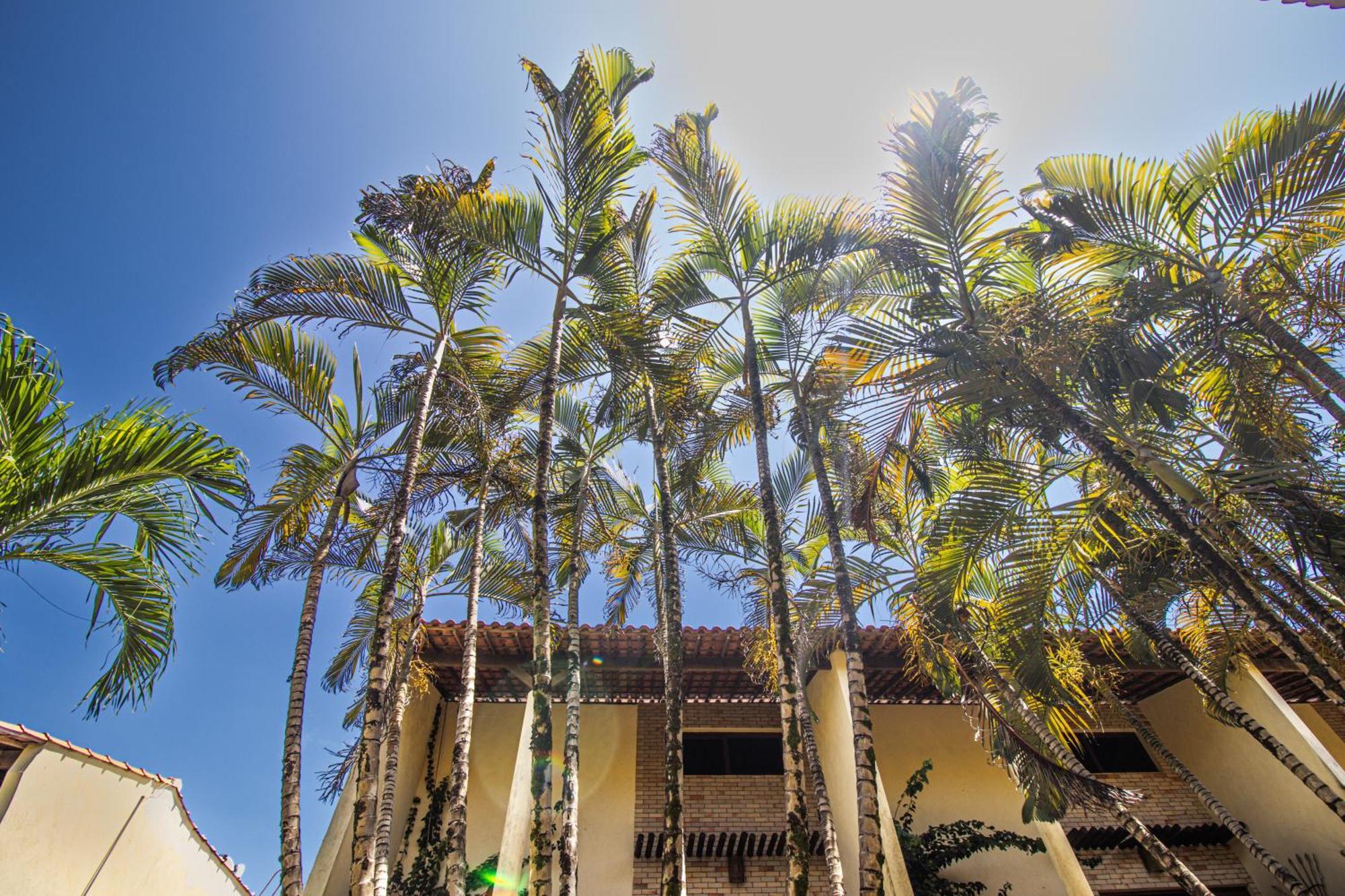 Condominio Solar Pipa - Apartamento Economico, Sem Varanda Praia de Pipa Exterior photo
